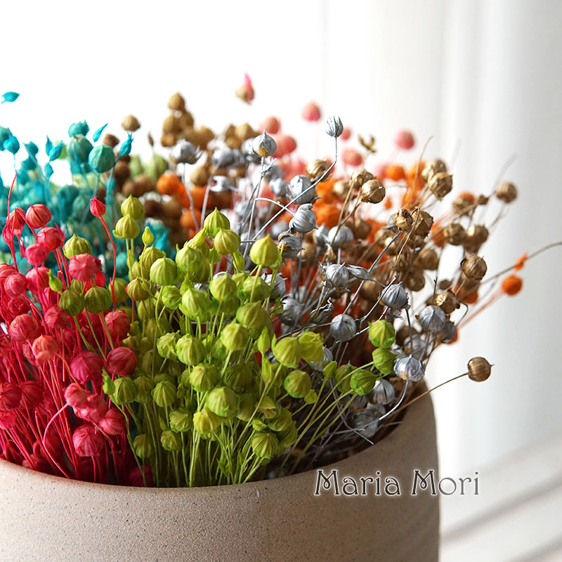 Dried Flower Bouquet - 5g/Preserved Flax Bean Natural Real Flowers
