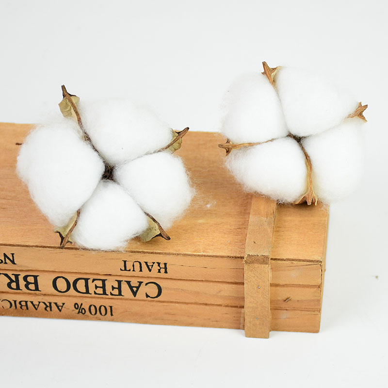 5pcs Simulated Cotton Headband - Dried Flower Bouquet ulasan dan harga