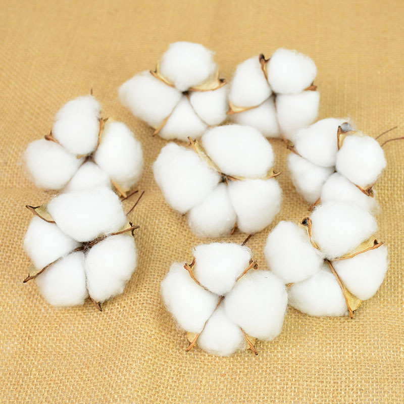 5pcs Simulated Cotton Headband - Dried Flower Bouquet ulasan dan harga