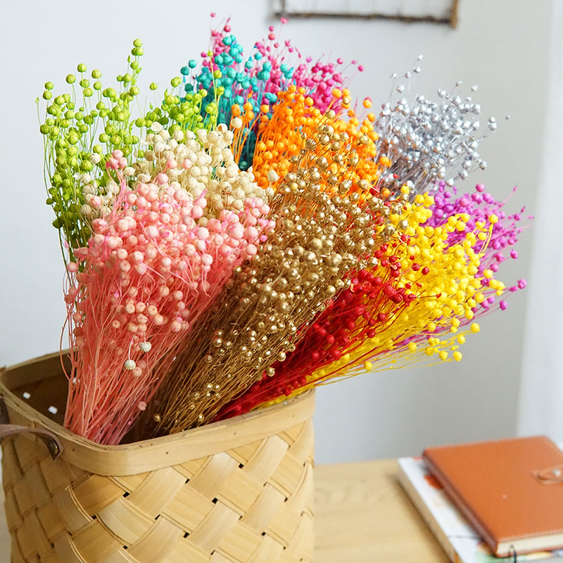 35g/Preserved Ormosia Hosiei N - Dried Flower Bouquet ulasan dan harga