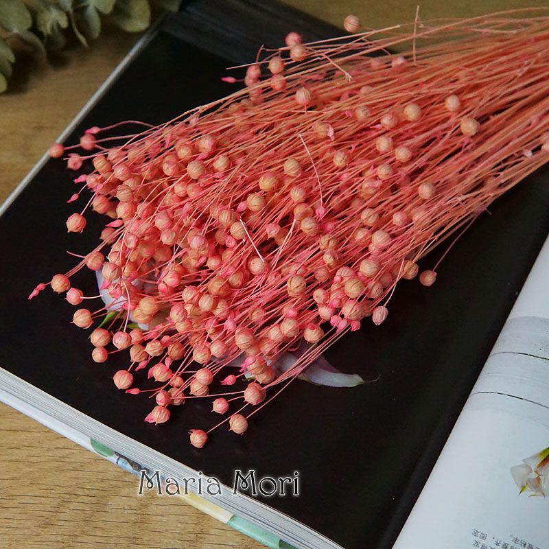 35g/Preserved Ormosia Hosiei N - Dried Flower Bouquet ulasan dan harga