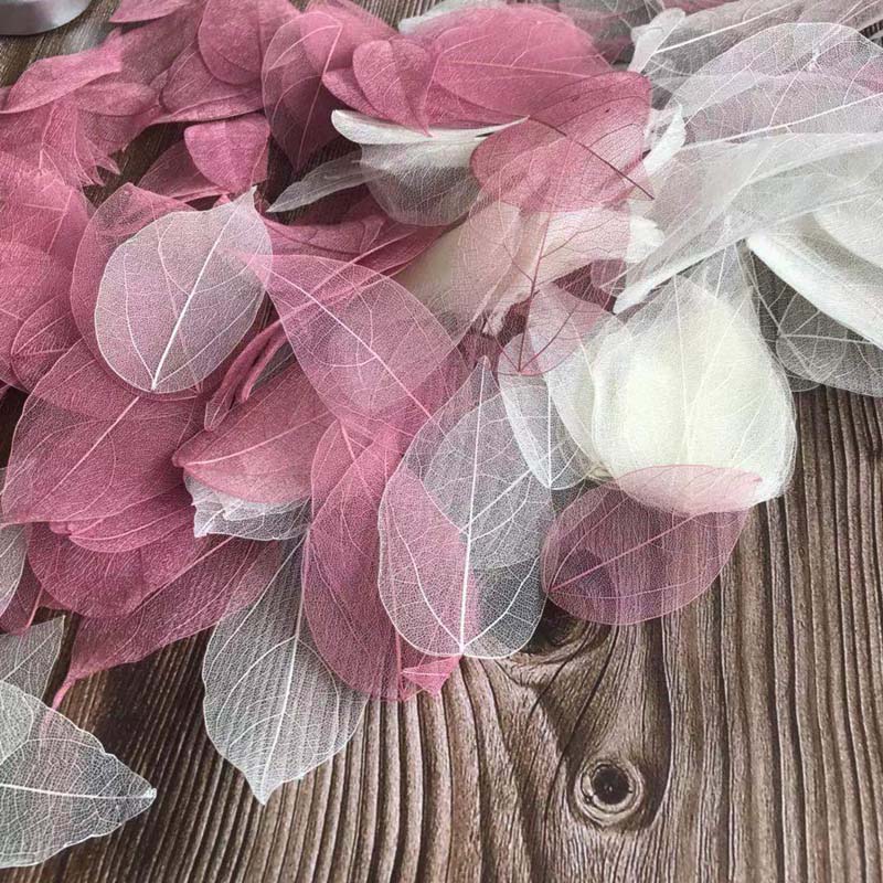 5~9CM*2~3.5CM,100PCS/Set,Real  - Dried Flower Bouquet ulasan dan harga