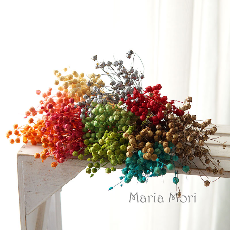 5g/Preserved Flax Bean Natural - Dried Flower Bouquet ulasan dan harga