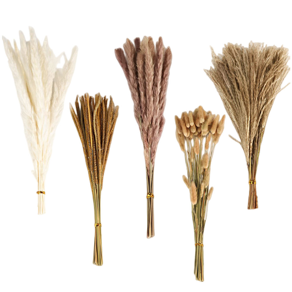 Autumn Vintage Mixed Dried Flo - Dried Flower Bouquet ulasan dan harga