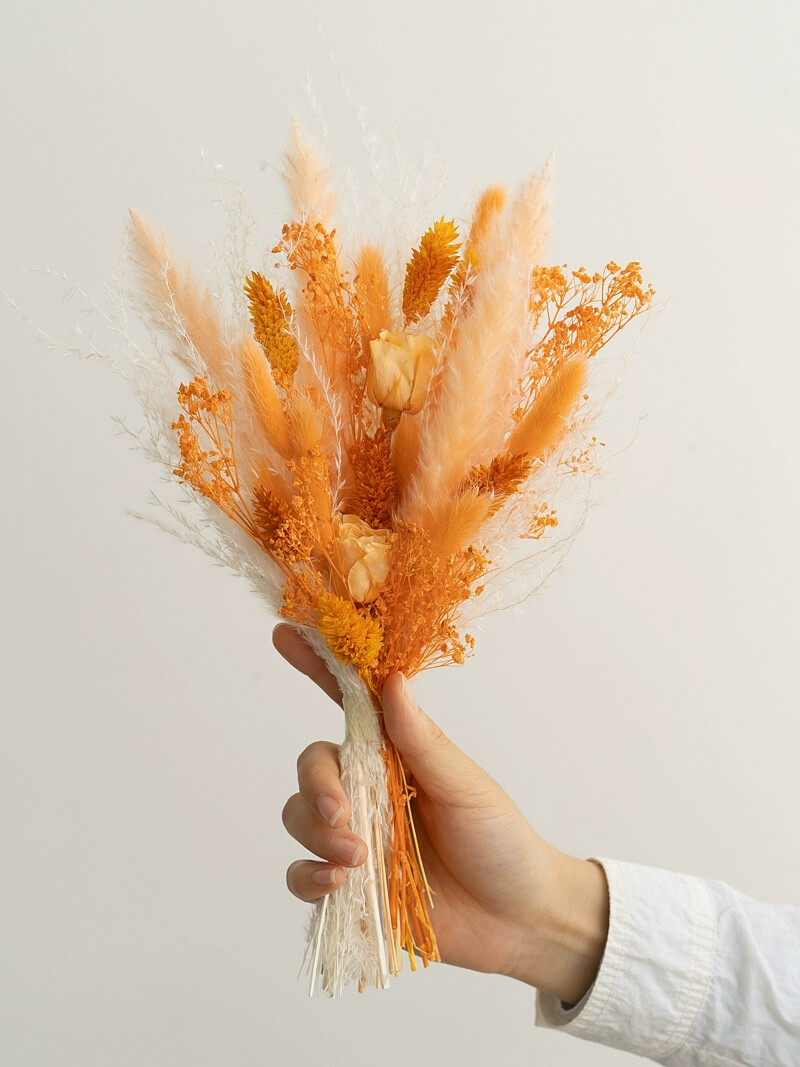 Preserved Rose Rabbit Tail Ree - Dried Flower Bouquet ulasan dan harga