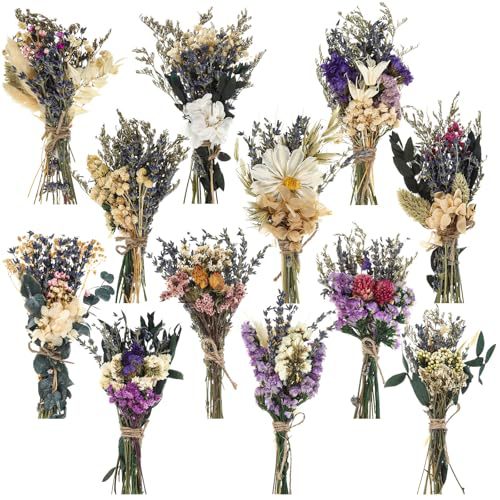 12PCS Mini Dried Flower Bouque - Dried Flower Bouquet ulasan dan harga