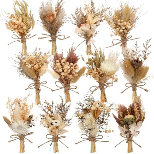 12PCS Mini Dried Flower Bouque - Dried Flower Bouquet ulasan dan harga