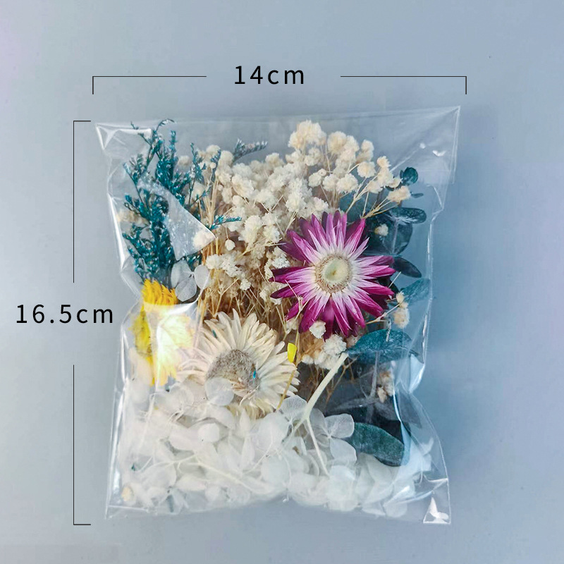1pack Multifarious Dried Flowe - Dried Flower Bouquet ulasan dan harga
