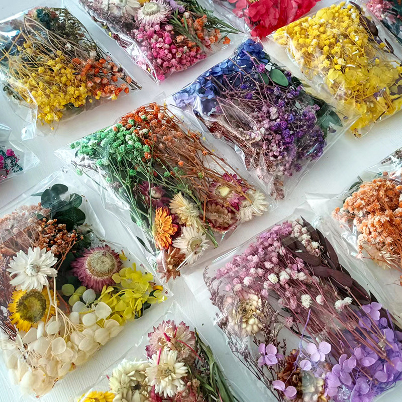 1pack Multifarious Dried Flowe - Dried Flower Bouquet ulasan dan harga