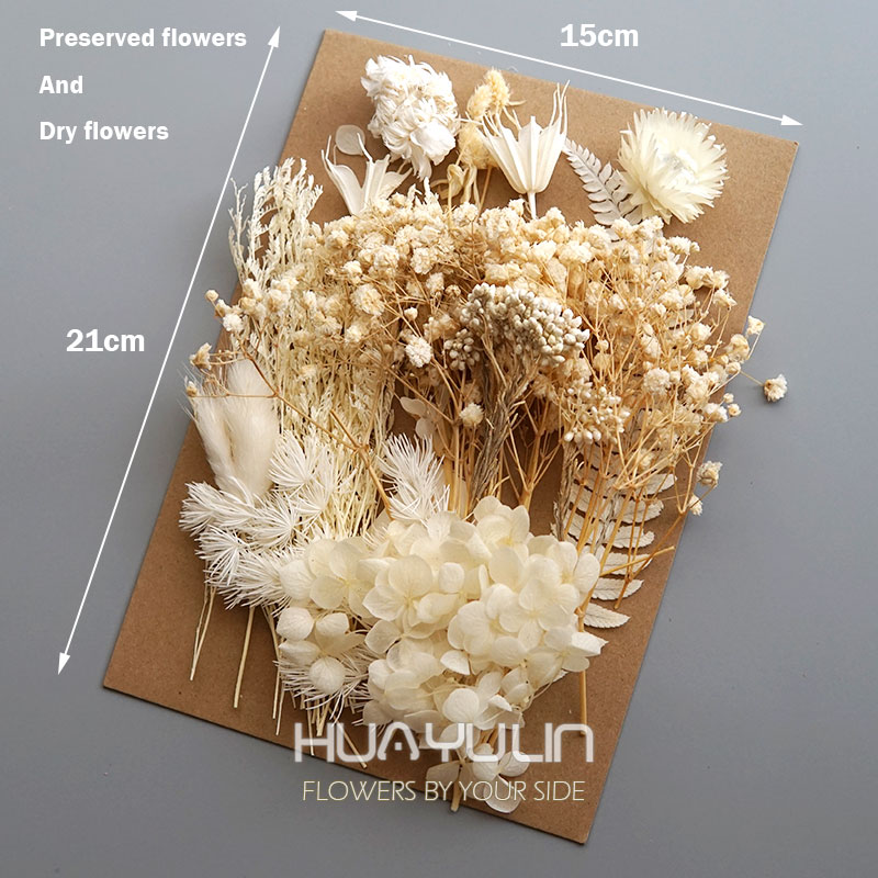 1 Pack Artificial Plants Dried - Dried Flower Bouquet ulasan dan harga