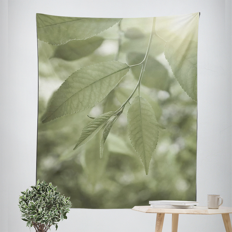 Home decorations room decor wa - Home Decor Y2K ulasan dan harga