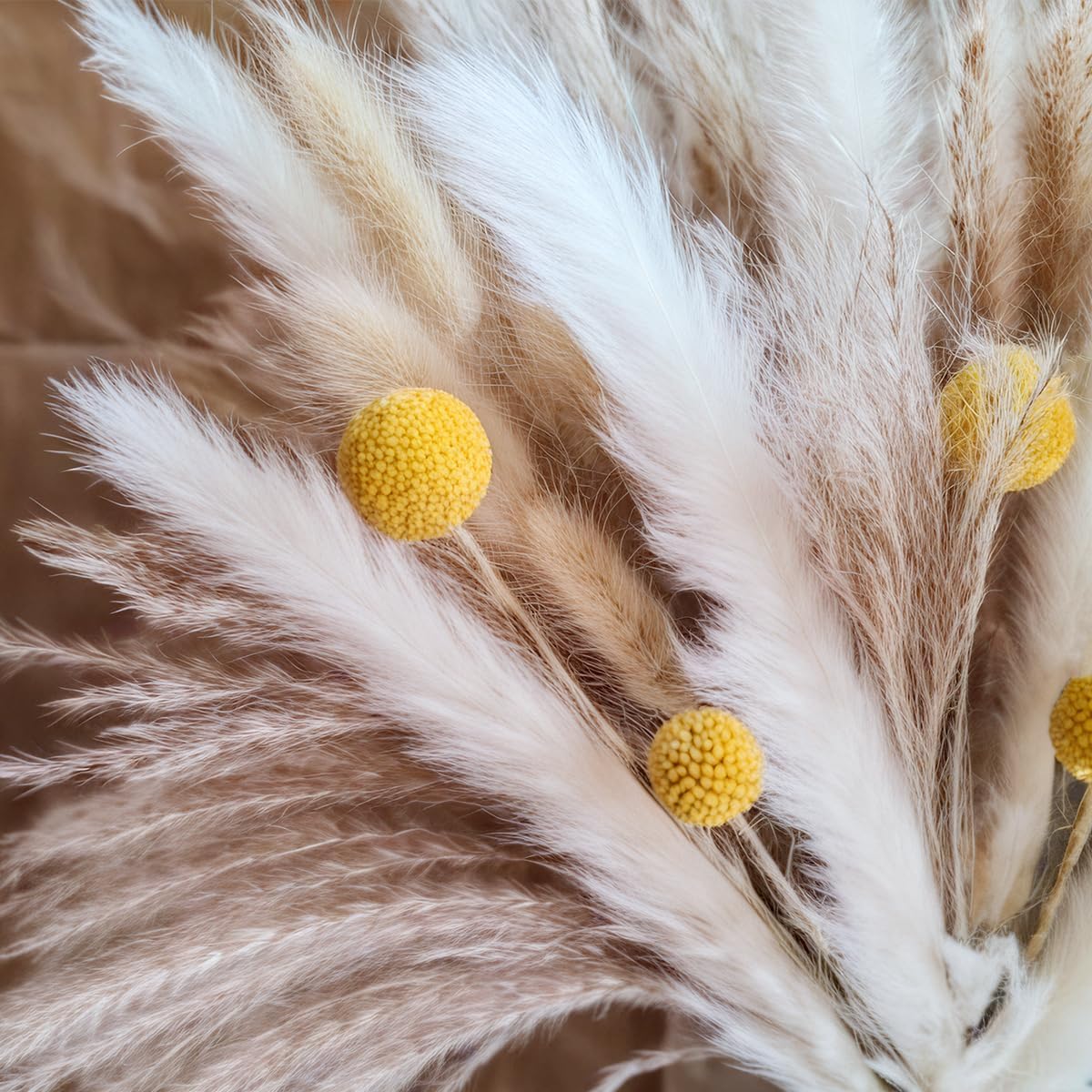Dried Pampas Grass Bouquet Nat - Dried Flower Bouquet ulasan dan harga