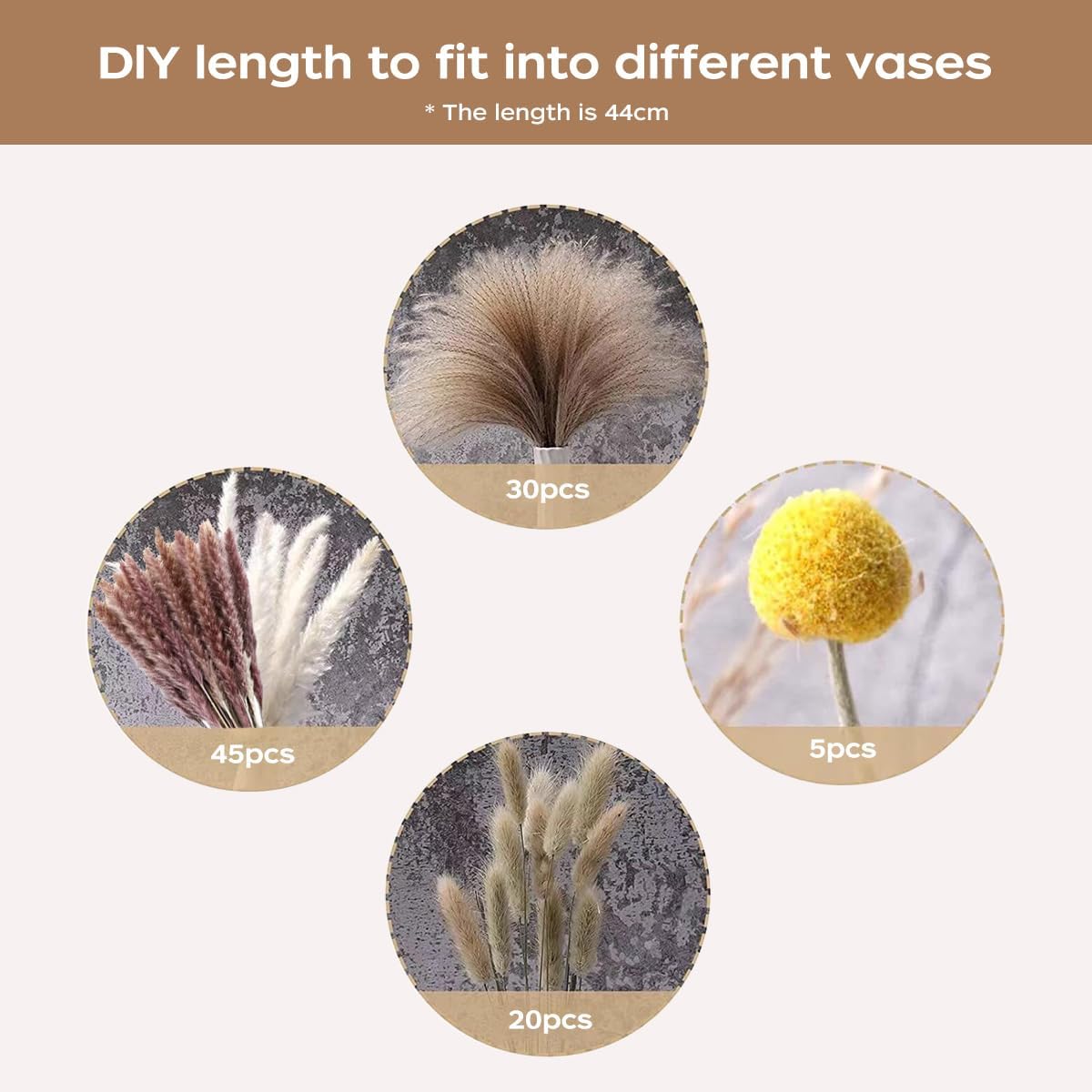 Dried Pampas Grass Bouquet Nat - Dried Flower Bouquet ulasan dan harga